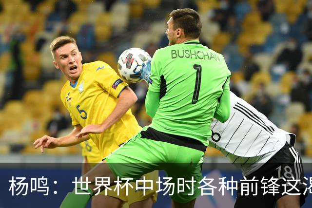 杨鸣：世界杯中场时各种前锋这渴了那饿了全来了 谁能记住后卫呢